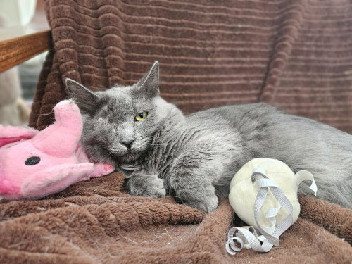 Photo 2 of Misty