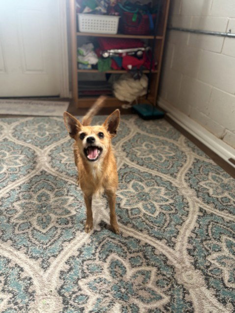 Chloe