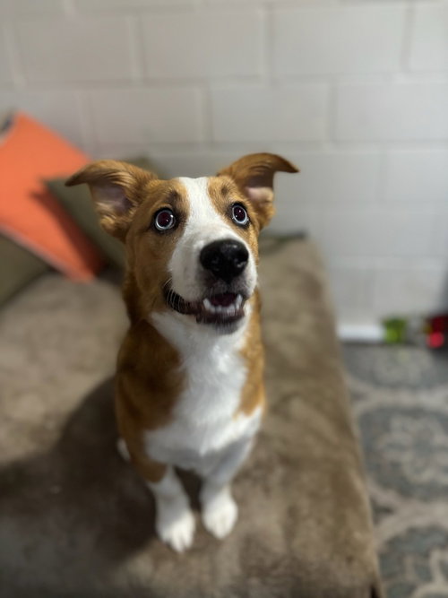 Rusty