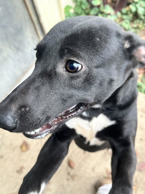 tip toe