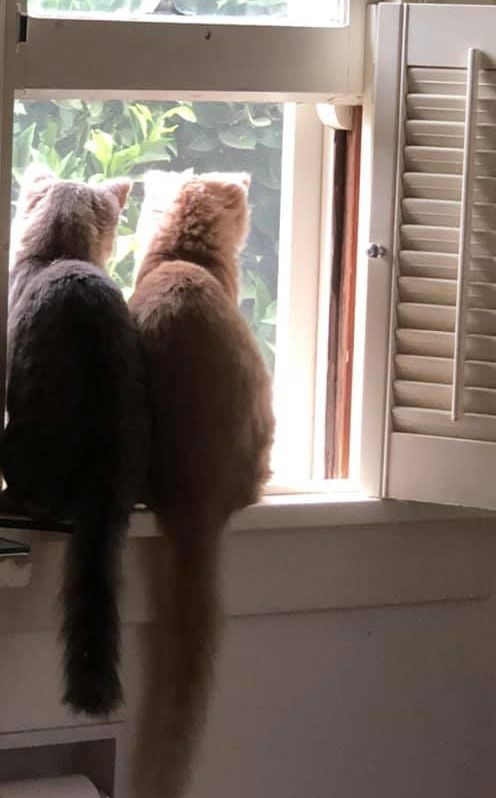 Maui & Molokai