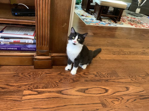 Minnie