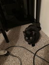Nora