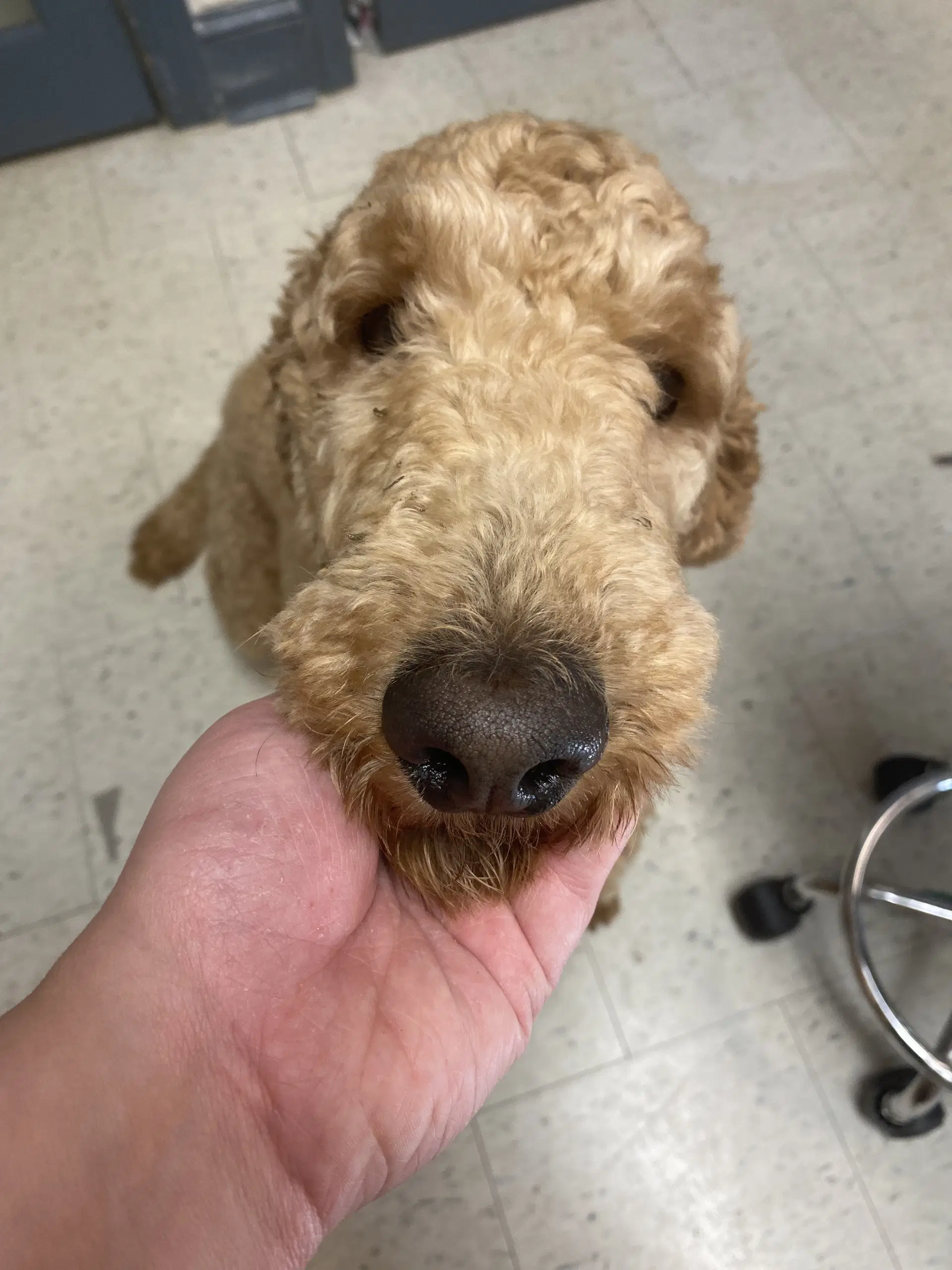 Max image 3