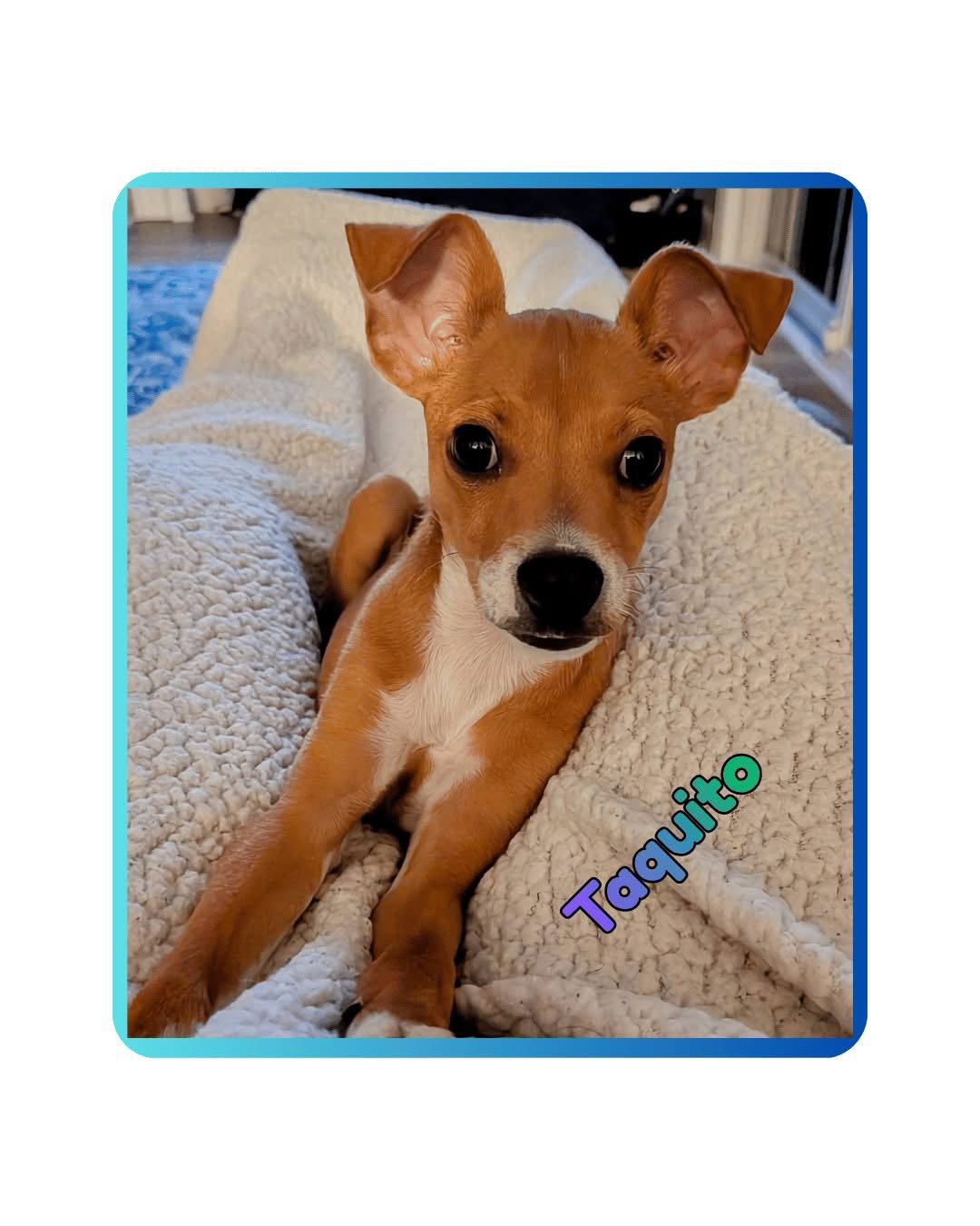 Taquito, Chihuahua