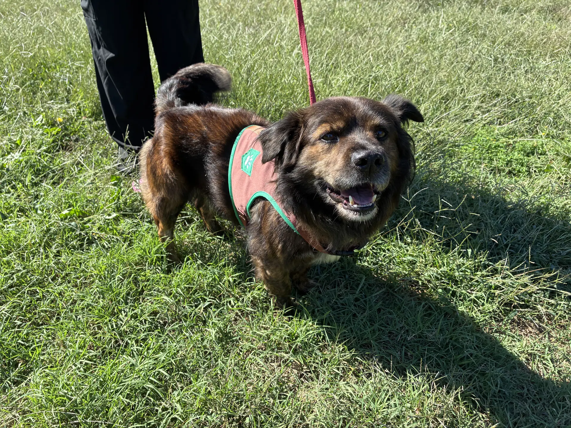 Roscoe image 2