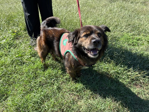 Photo 2 of Roscoe