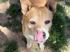 Luna - Photo 5
