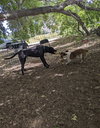 Taz - Photo 4