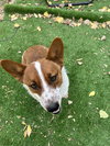 Taz - Photo 5