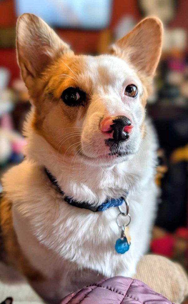 Pixel