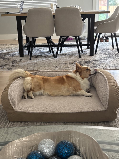 Winston photo 4