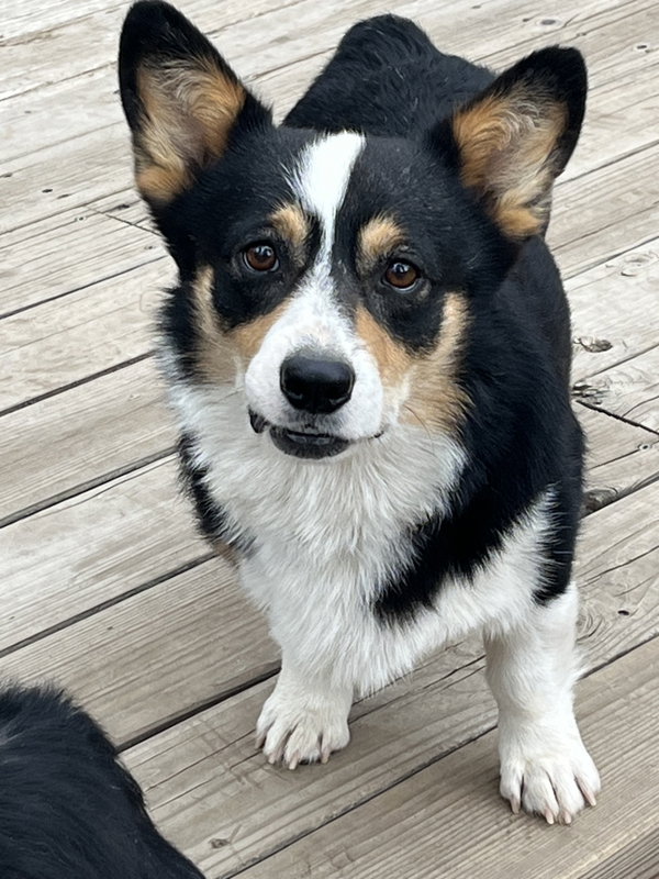 Reggie