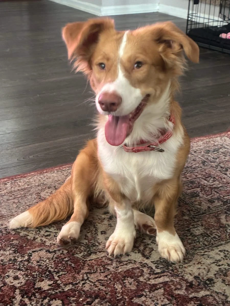 Murphy