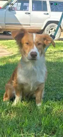 Murphy image 4
