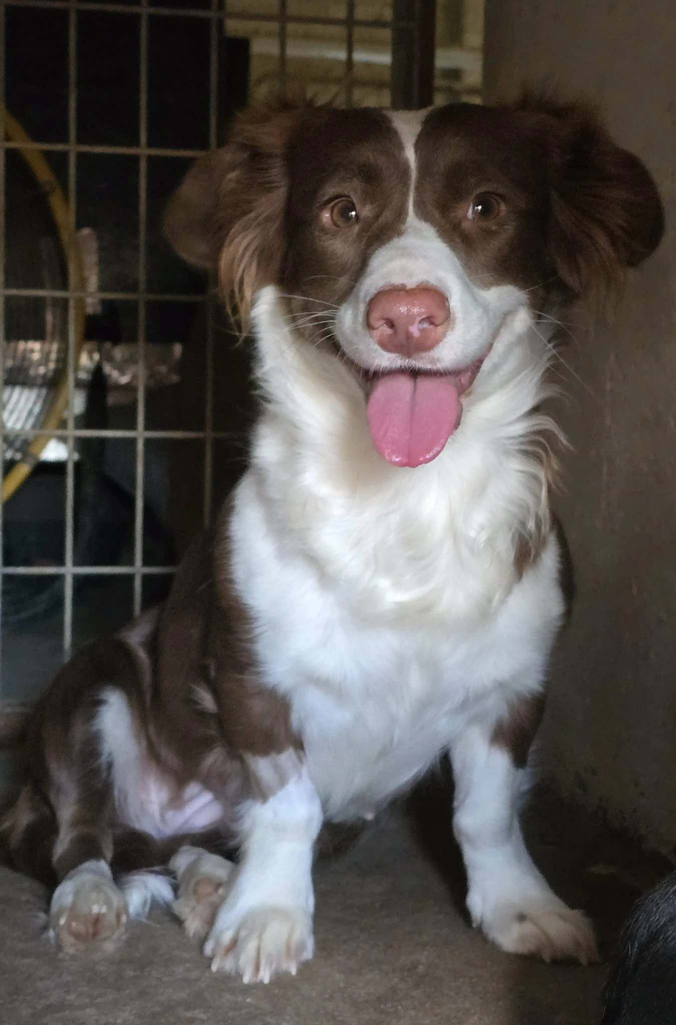 Millie