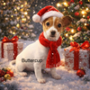 Buttercup - Photo 2