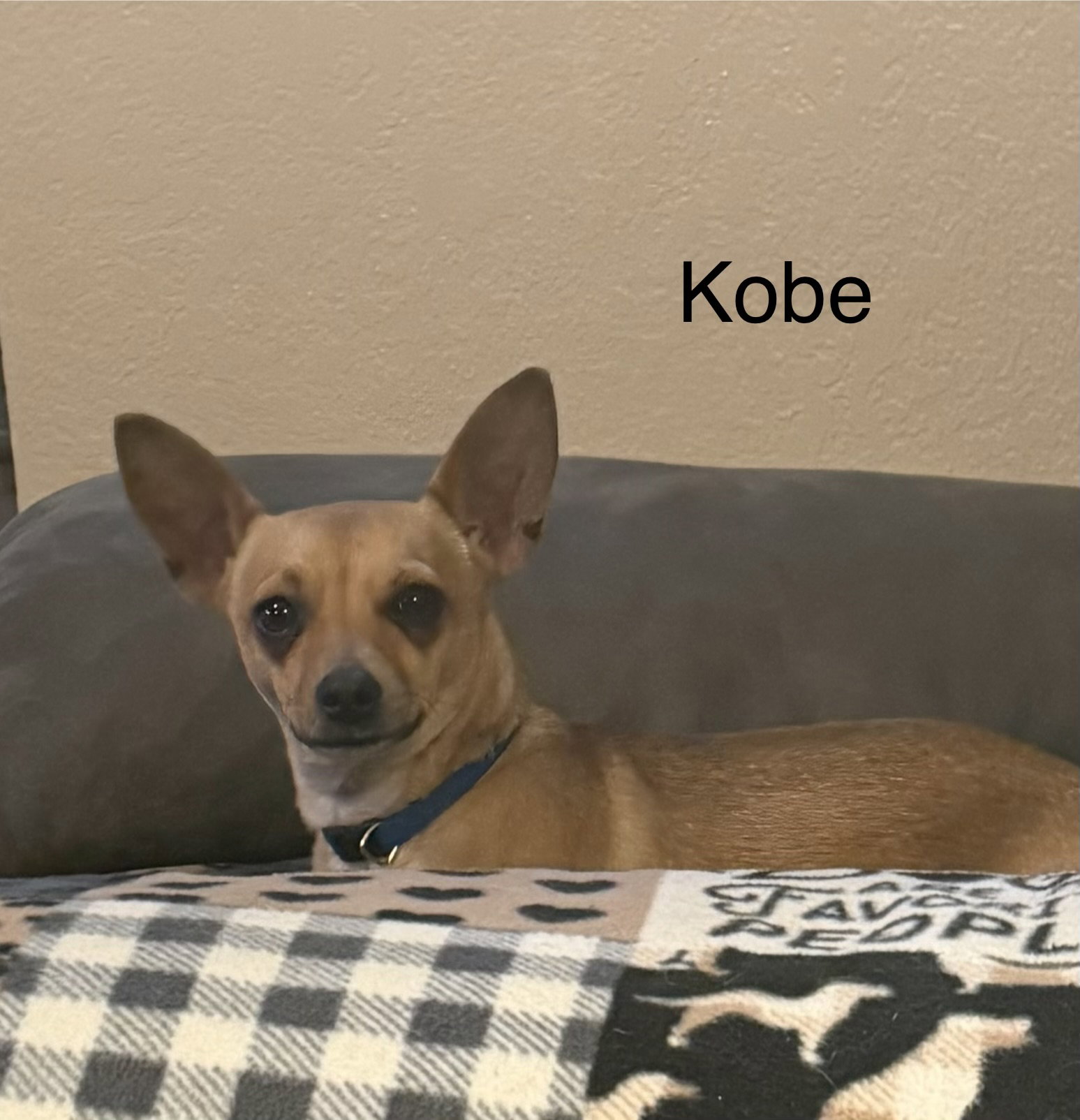 Kobe