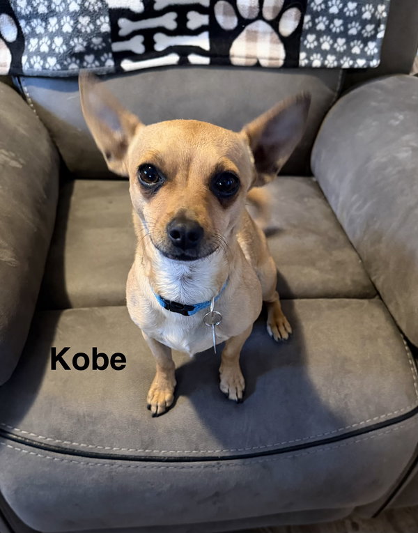 Kobe