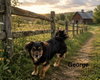 George - Photo 1
