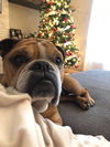 Charlie