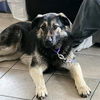 Roxy