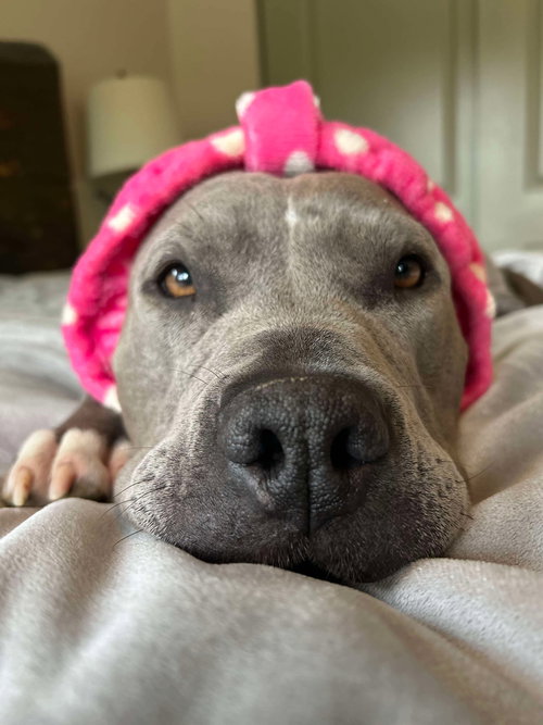 Bella