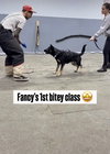 Fancy