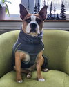 Odie