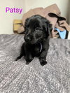 Patsy