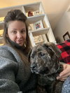 Dasher (brindle)