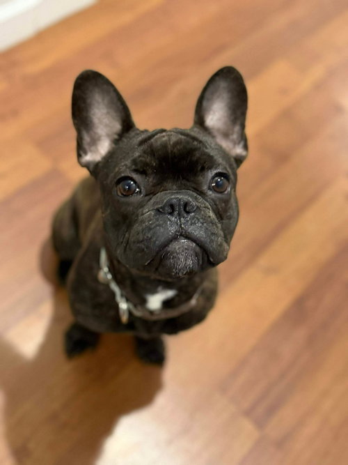 Axel