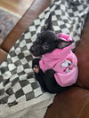 Snoop