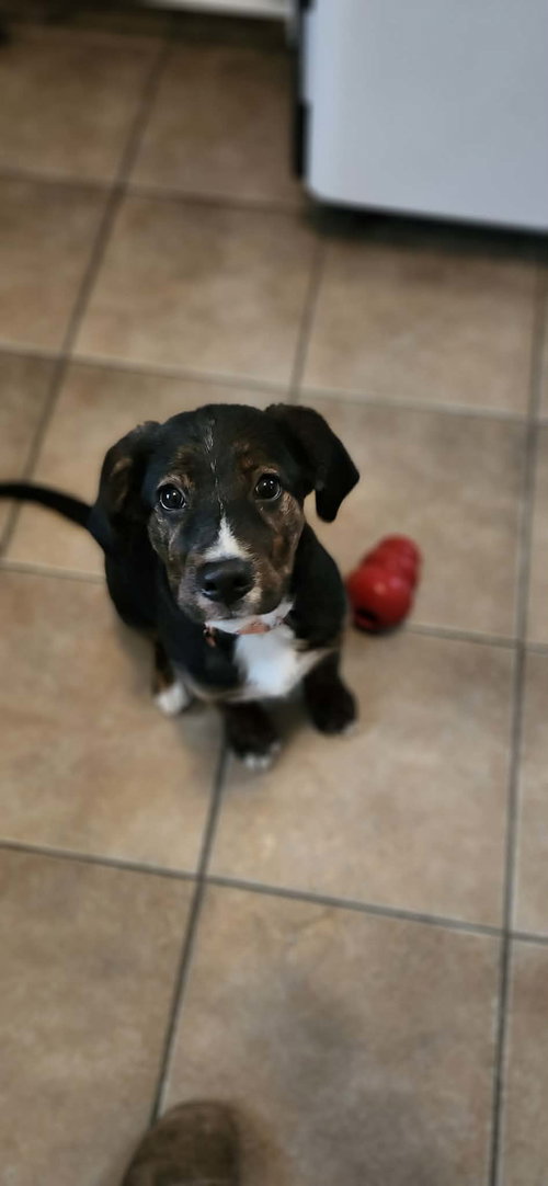 Murphy