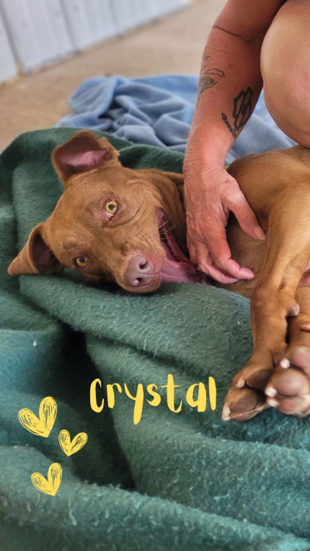 Crystal