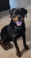 Keyser