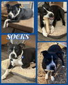 Socks