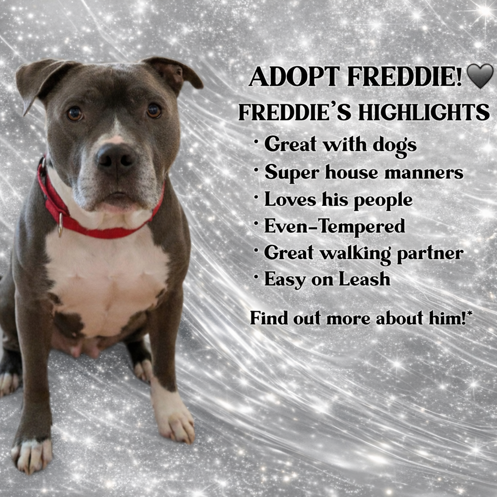 Freddie