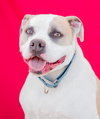CLYDE - Photo 1