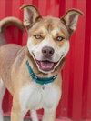 THOR - Photo 1