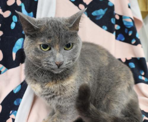 Kiki