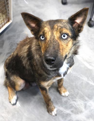 Mimi