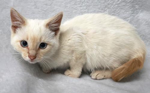 Curbs