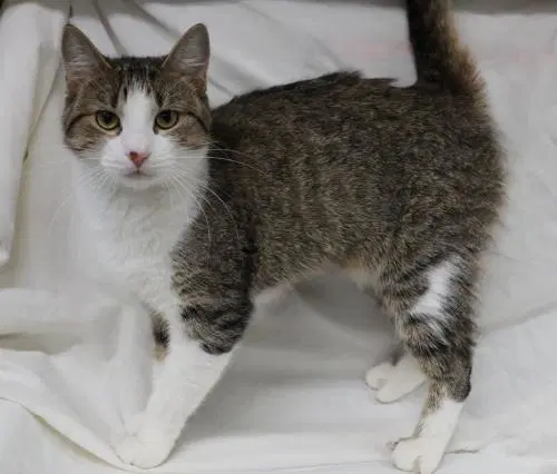 Tabitha image 1