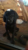 Riley