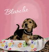 Blanche (now Bailey)