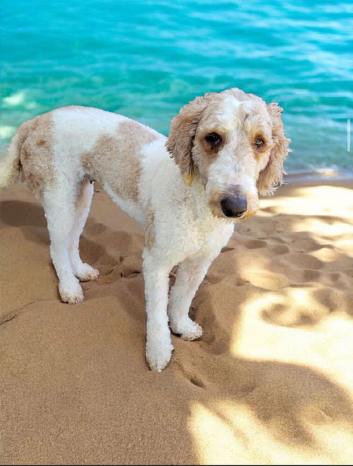 Coco (Margo)