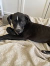 Asher (now Grange