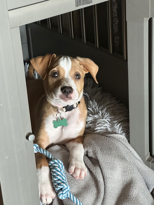 Milo