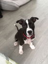 Jack